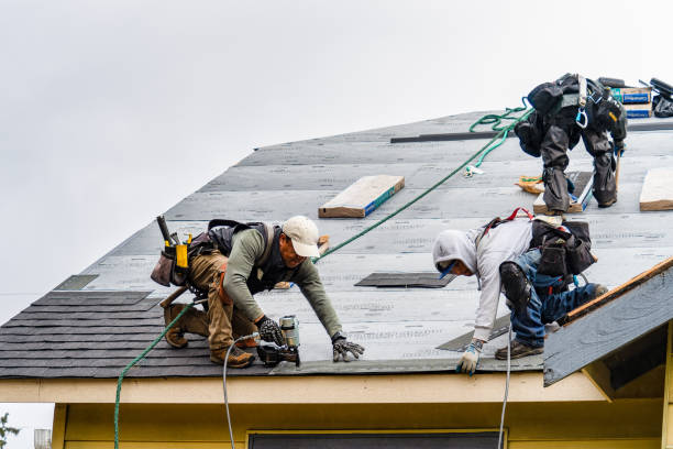 Professional Gutter Installation technician working in Rhine, GA
