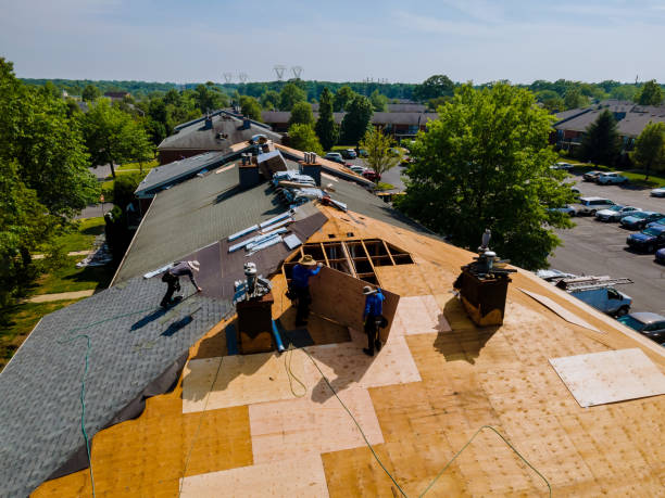 Trusted Flat Roof Repair service in Rhine, GA - Brentwood Metal Roofing